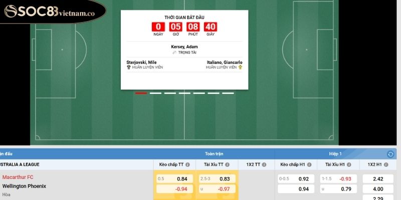 Nhiều chương trình khuyến mãi 