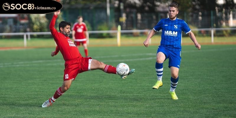 Chiến lược phân tích kỹ lưỡng 