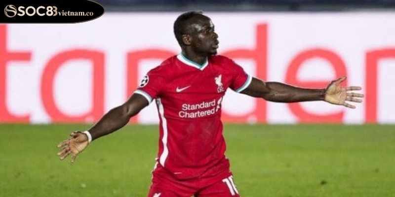 Vai Trò, Nhiệm Vụ Và Ảnh Hưởng Của WF Trong Bóng Đá SOC88 3 WF trong bóng đá có vai trò và nhiệm vụ gì